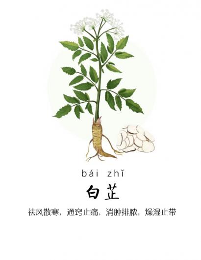 林老师
