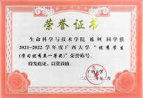 陈洲