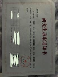 岑小乂